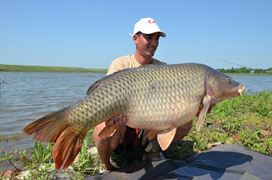 CUPA BECKER SARULESTI